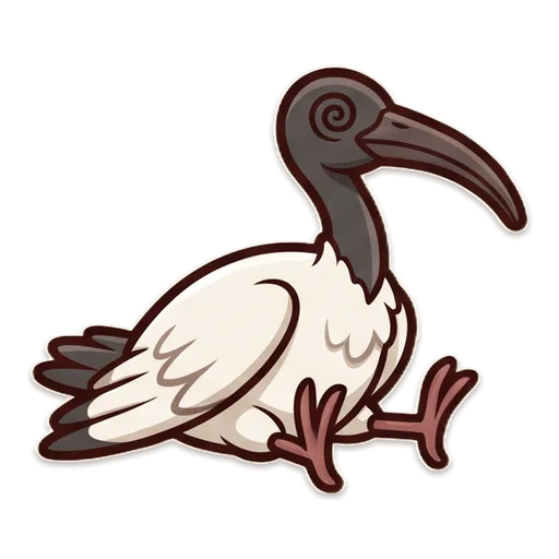 A dazed Australian white ibis seeing stars after a pudding hit, about to fly off unhurt.