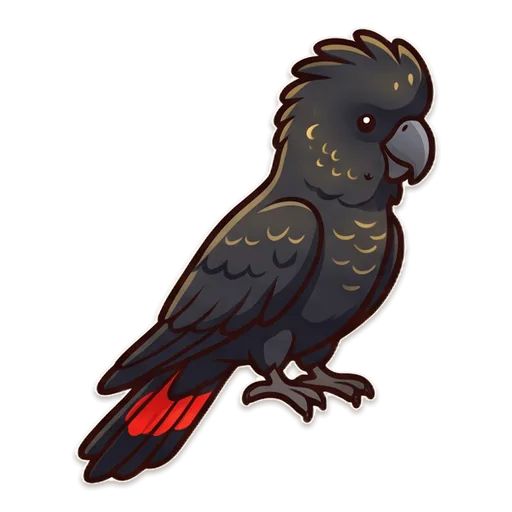 A red-tailed black cockatoo, the rare bonus bird in Cocky Chaos.