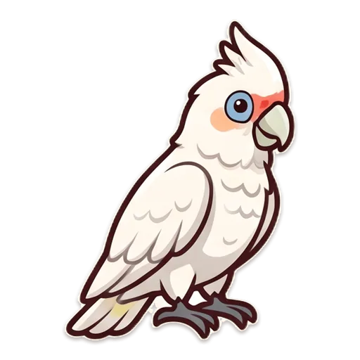 A white corella with a pale pink face, one of the cockatoo gang.