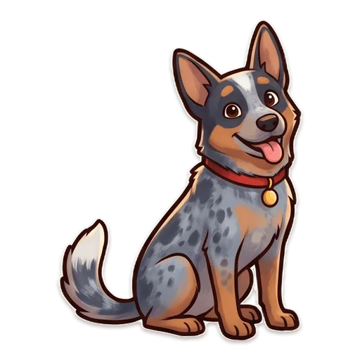 Digger the blue heeler sitting up straight like a good boy, waiting for his turn.