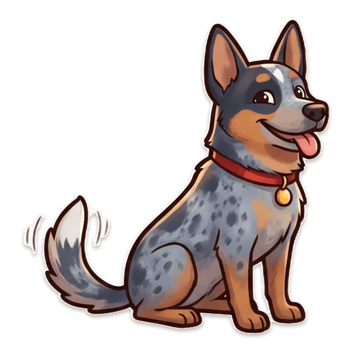 Digger the blue heeler sitting with a smug grin, ears up, looking very pleased with himself.