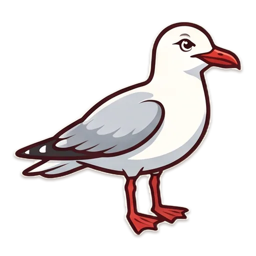 A silver gull with a red beak and legs, eyeing off the hot chips.