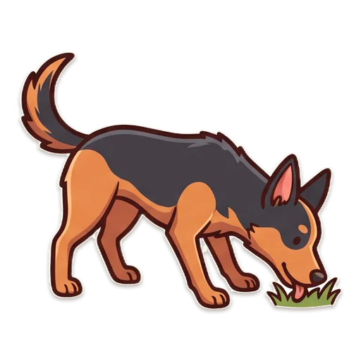 Dad's red kelpie chomping a sausage that landed on the grass instead of the barbecue.
