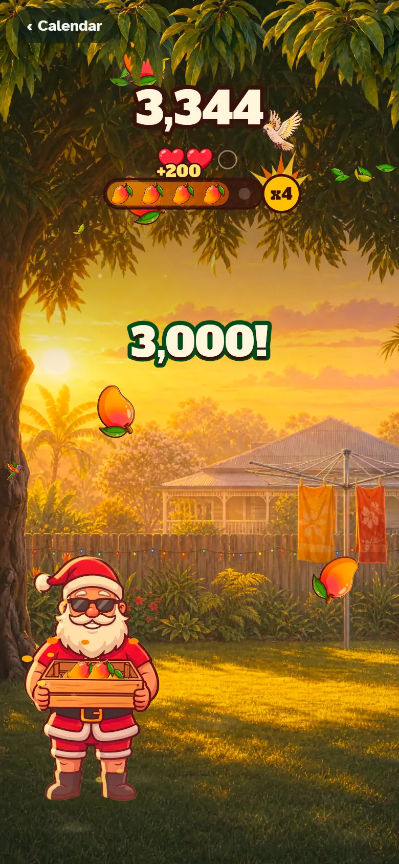 Santa holds a wooden crate under a mango tree in a Queensland backyard, catching ripe mangoes as they fall.